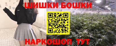 гидропоника Будённовск