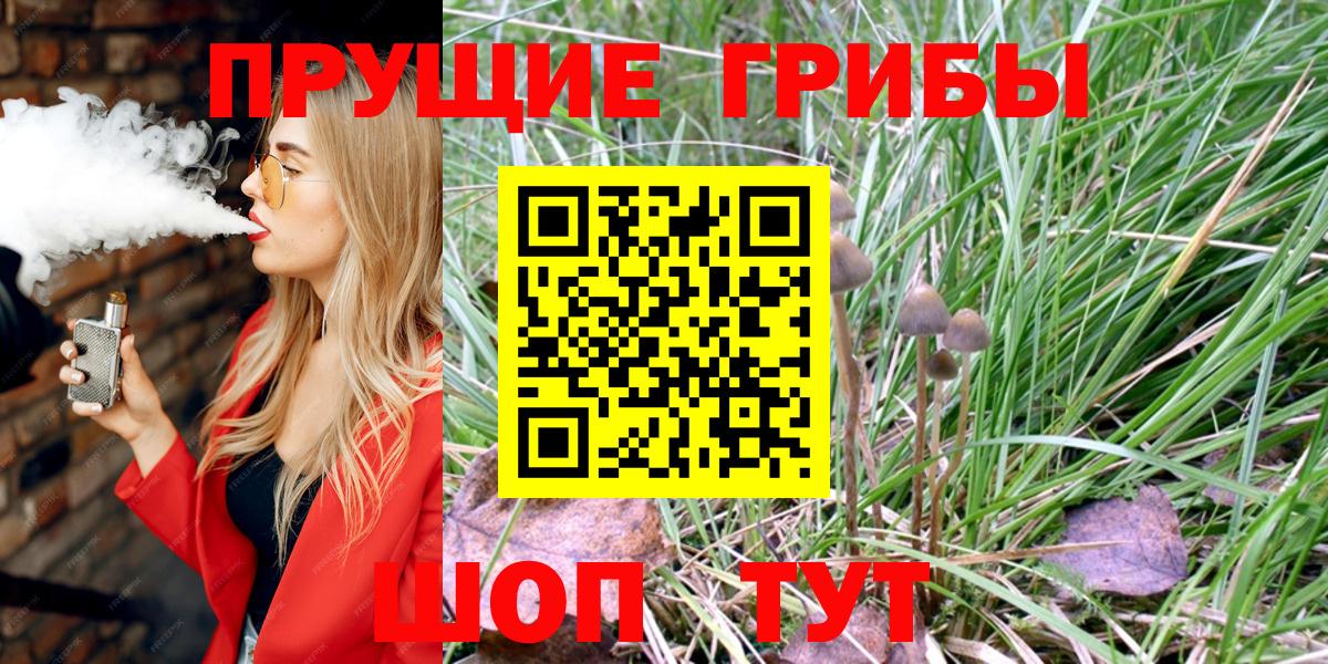 Псилоцибиновые грибы мицелий Находка