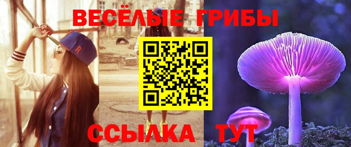 Находка  Псилоцибиновые грибы GOLDEN TEACHER  Вход с VPN  Псилоцибиновые грибы Psilocybine cubensis 